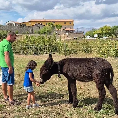 Дом отдыха Quinta Do Limite - Casa Do Campones Ковильян