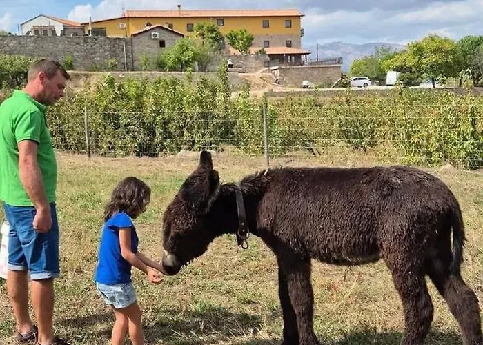 Tatil Evi Quinta Do Limite - Casa Do Campones Covilhã